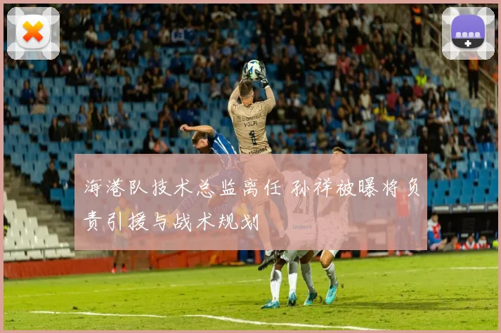 海港队技术总监离任 孙祥被曝将负责引援与战术规划