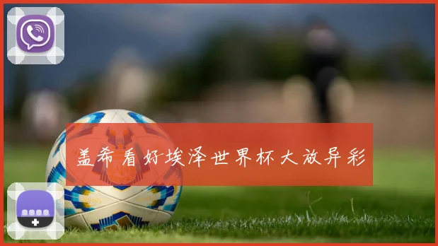 盖希看好埃泽世界杯大放异彩